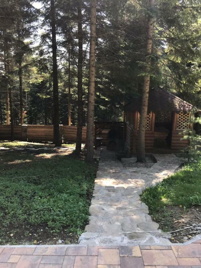 Вілла Ялинка Мигове Екстер'єр фото